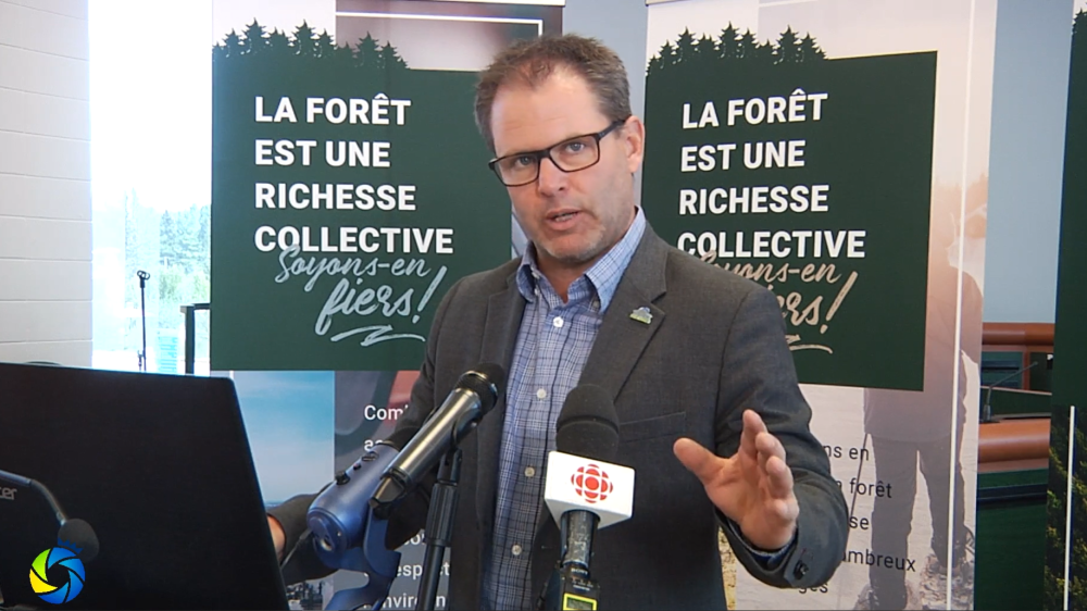 AFB demande plus de flexibilité pour assurer la relance du secteur forestier - Alliance Forêt Boréale