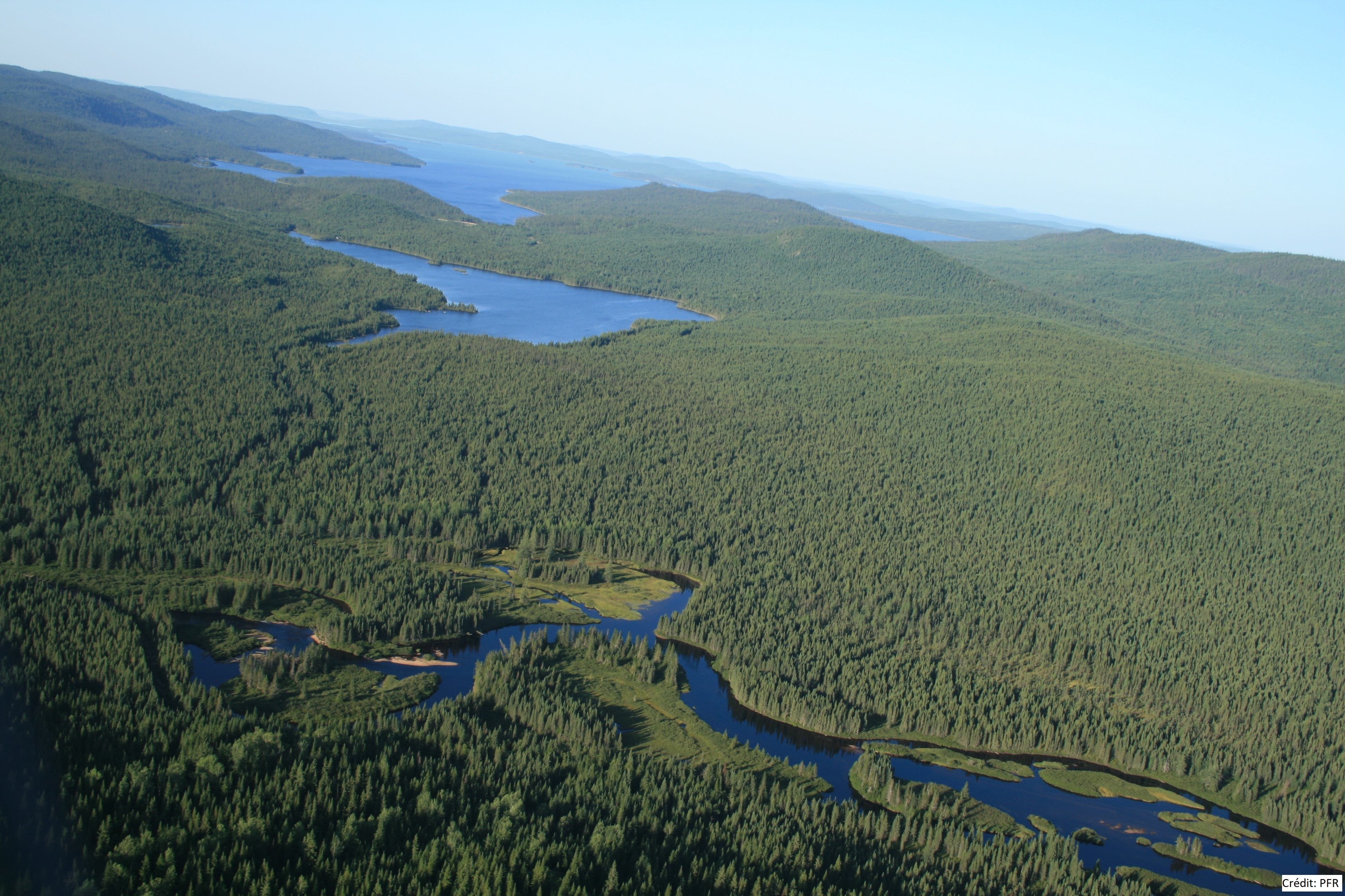 AFB demande au gouvernement du Québec d'y mettre un terme - Alliance Forêt Boréale