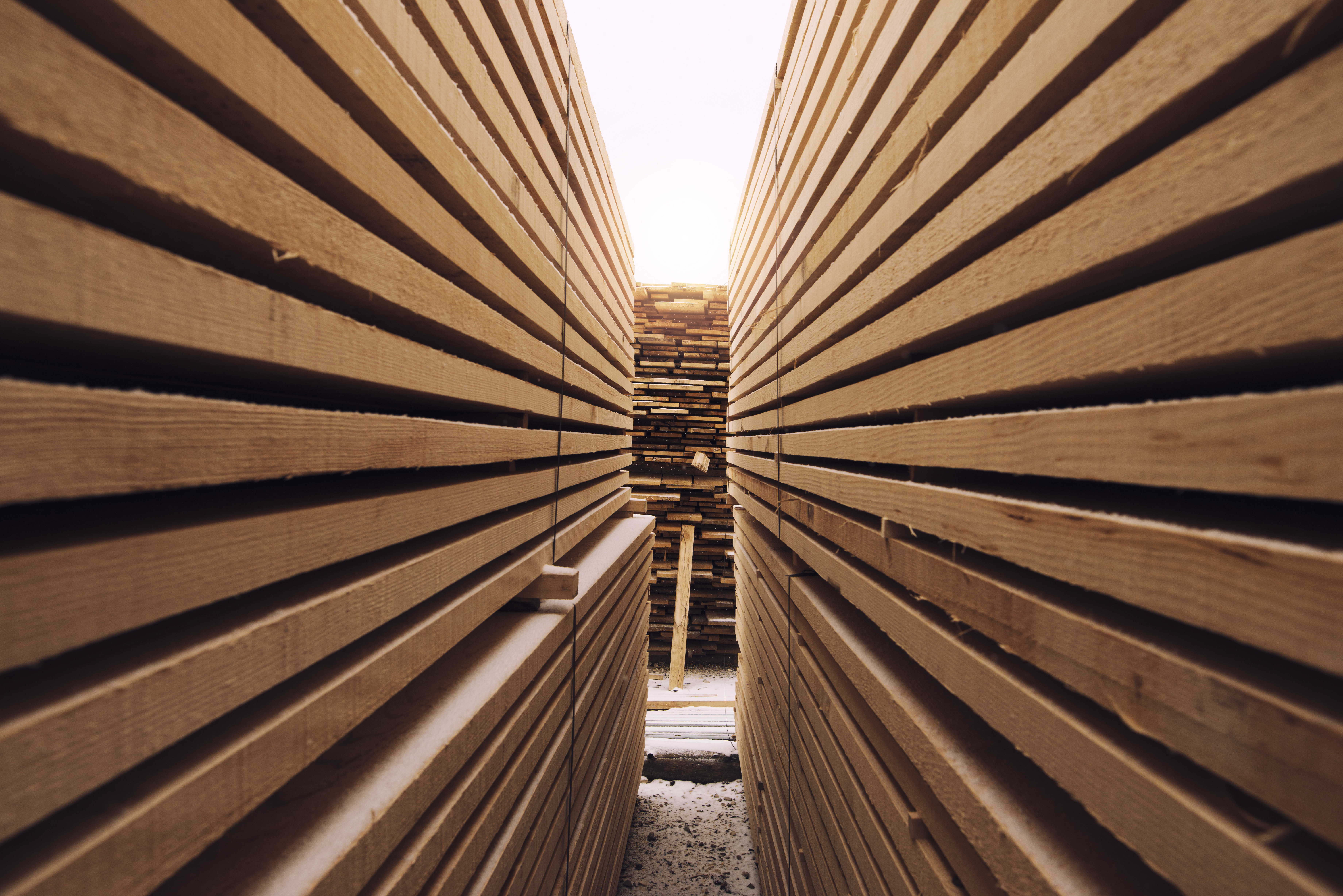 AFB souhaite une plus grande intégration du bois dans la construction - Alliance Forêt Boréale